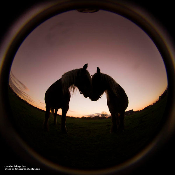 Lensbaby University Circular Fisheye Introduction Creative Effect Camera Lenses