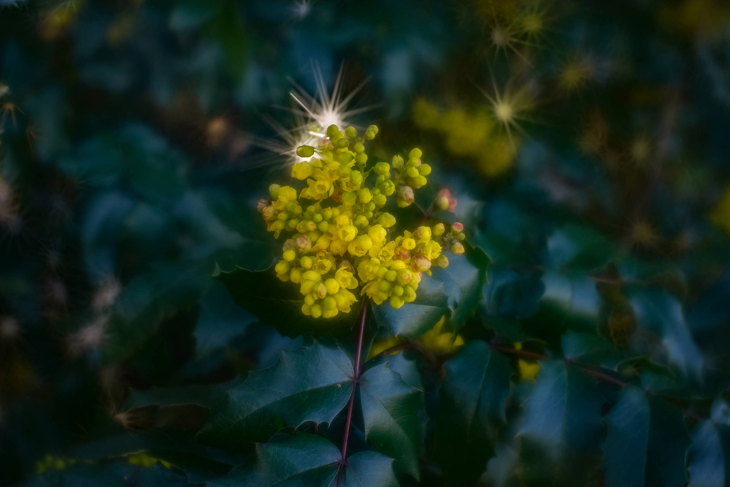 Rebirth | Photos of the Week