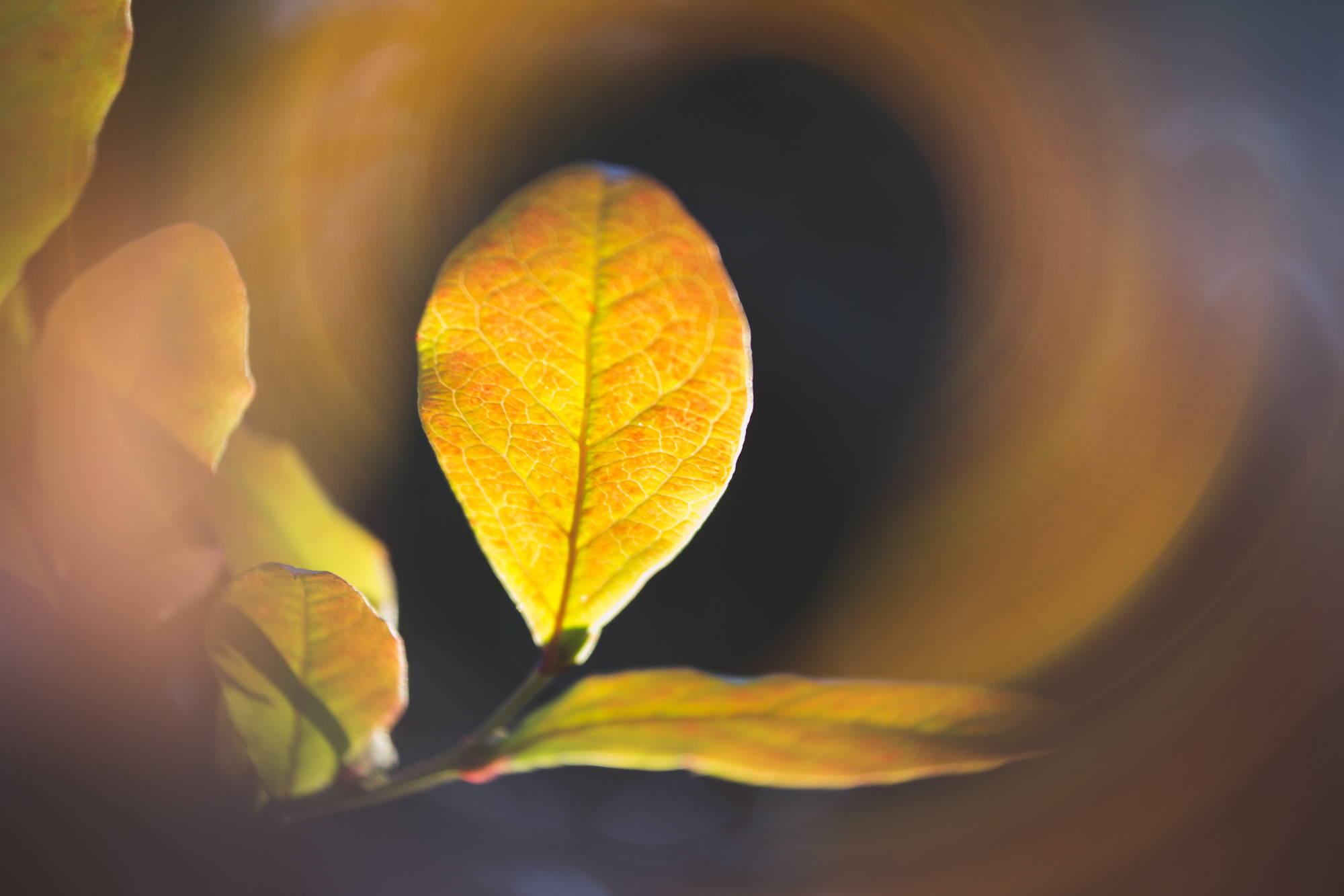 Refreshing the Page | Photos of the Week