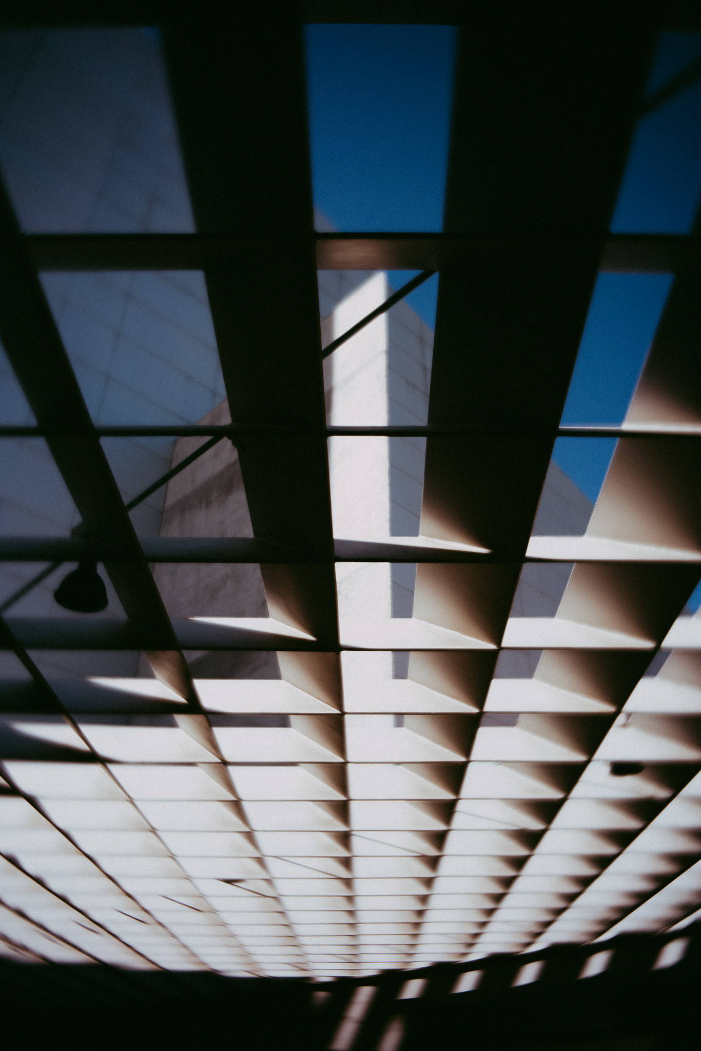 Triple Threat | Photos of the Week