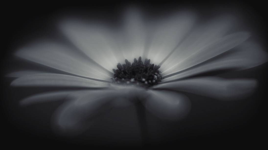 Lensbaby Unplugged Member of the Week | Heather Maree Owens