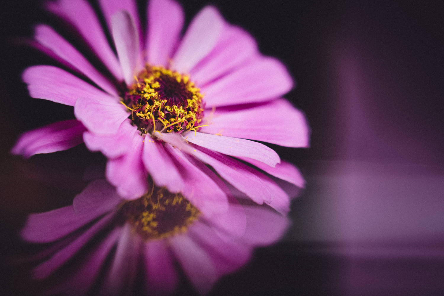 Create Reflections In Your Images With The Omni Mirror Wands