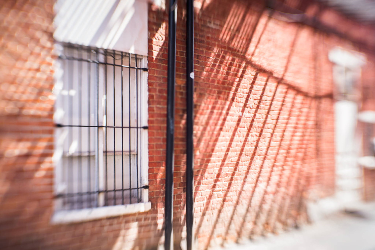 Lensbaby Photowalks - Community, Connection, Creativity