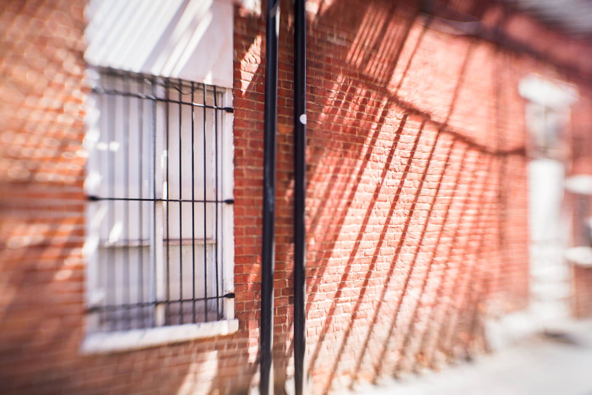 Lensbaby Photowalks - Community, Connection, Creativity