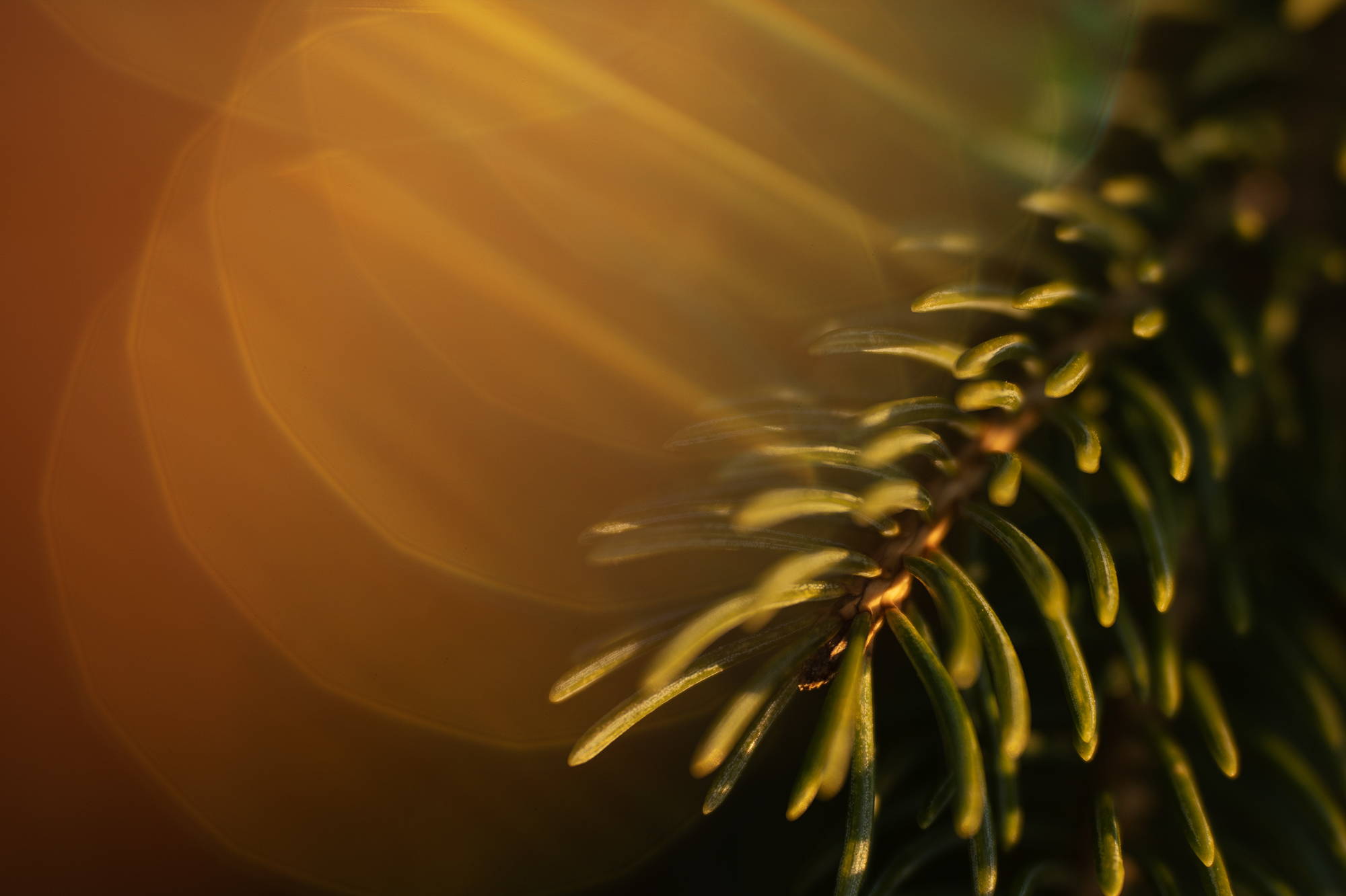 Natural Light And Shadow Photography Patterns Of Light And Shadow Natural Light And Shadow Photography Patterns Of Light And Shadow