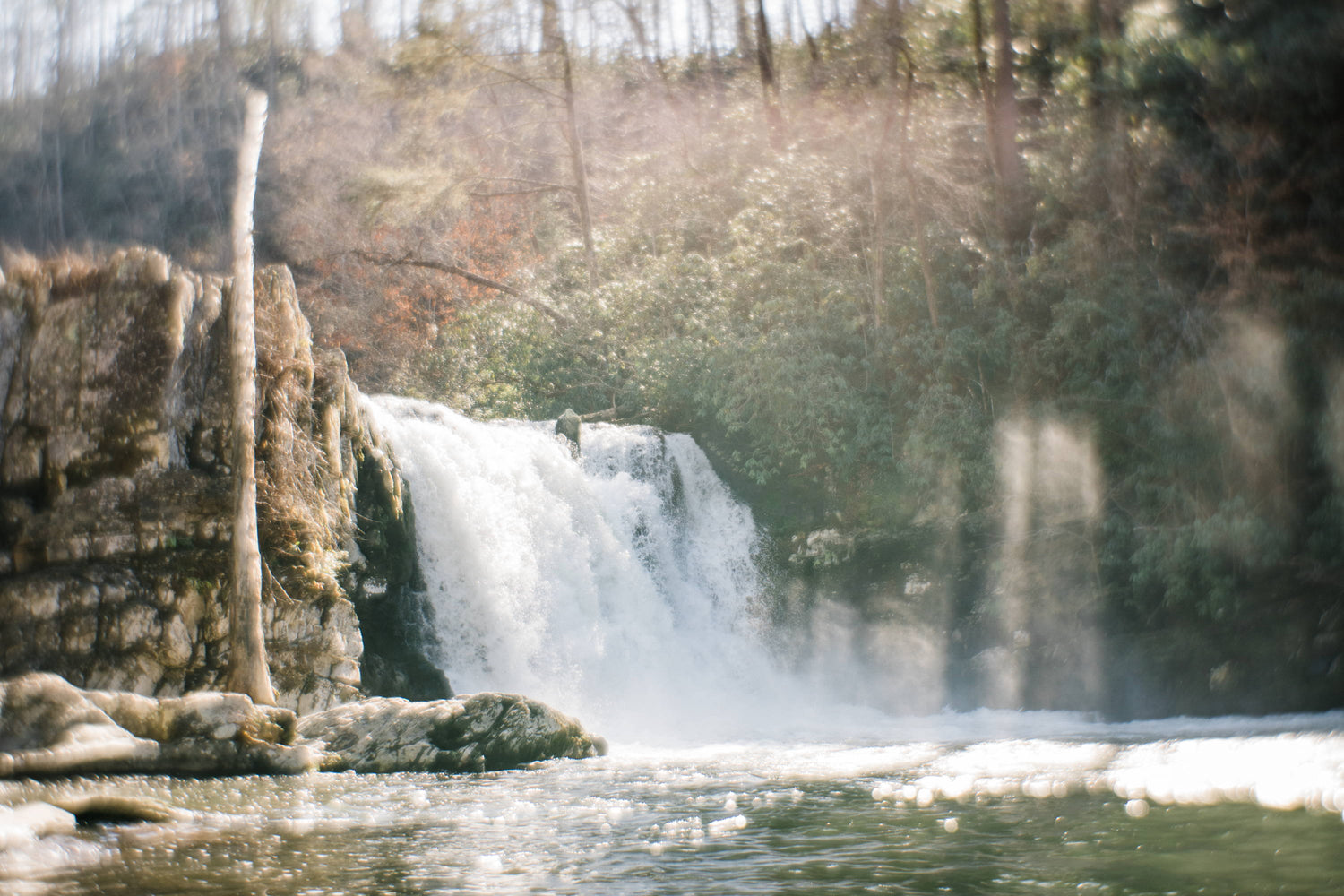 Earth Day | Photos of the Week