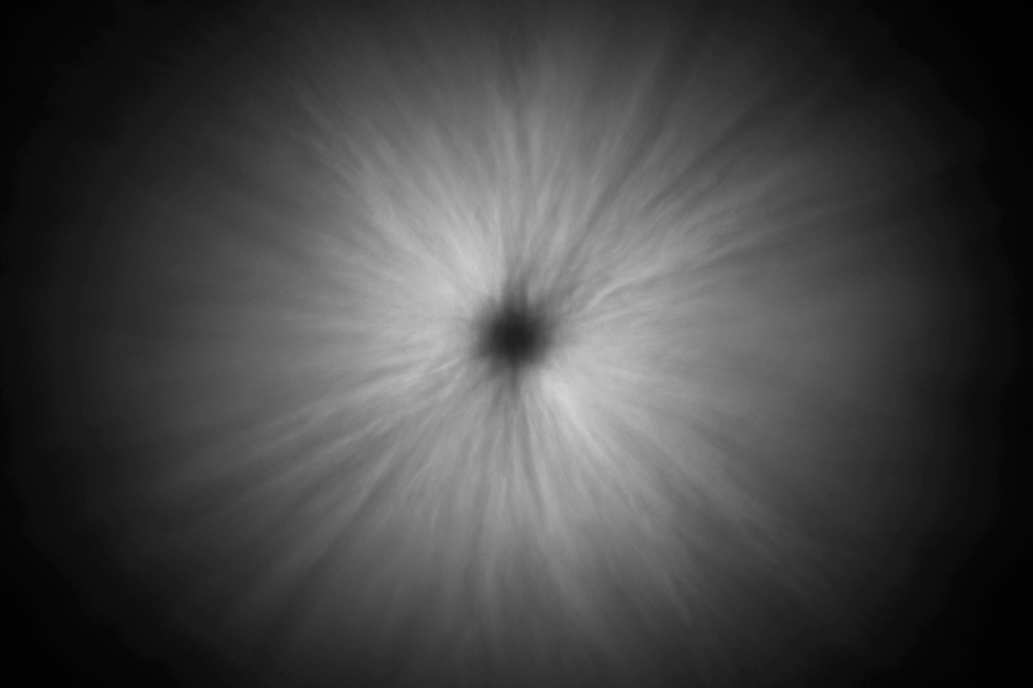 Lensbaby Unplugged Member of the Week | Ellie