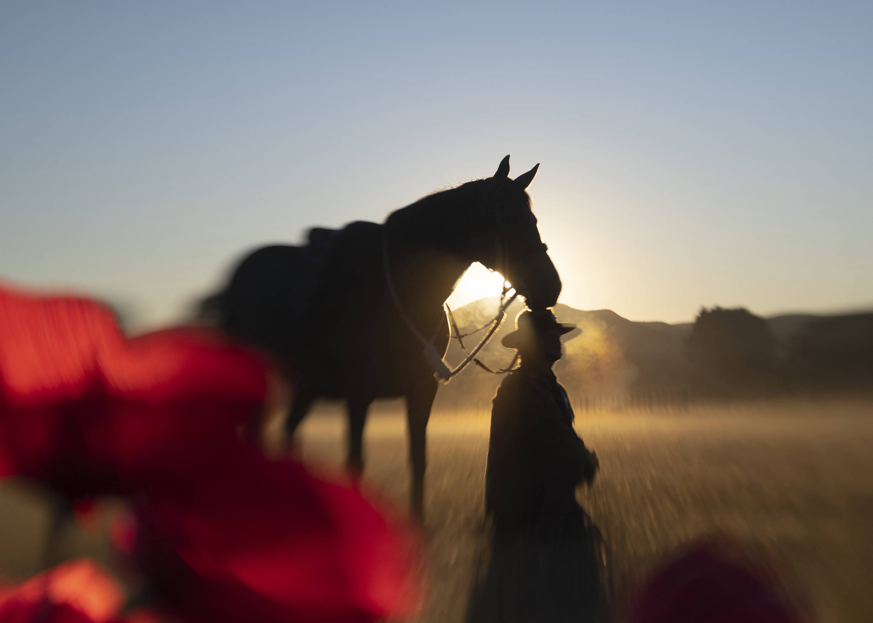 The Story Behind the Creation