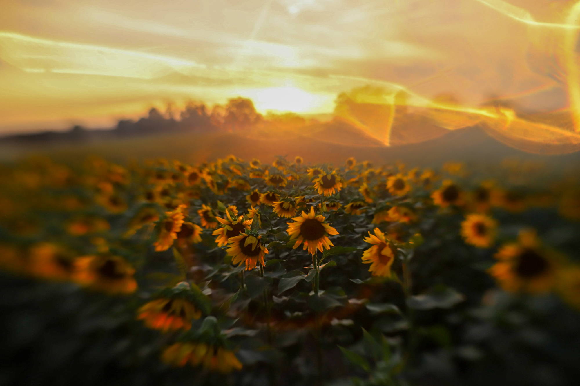 Sharing Your Creative Outlet of Photography