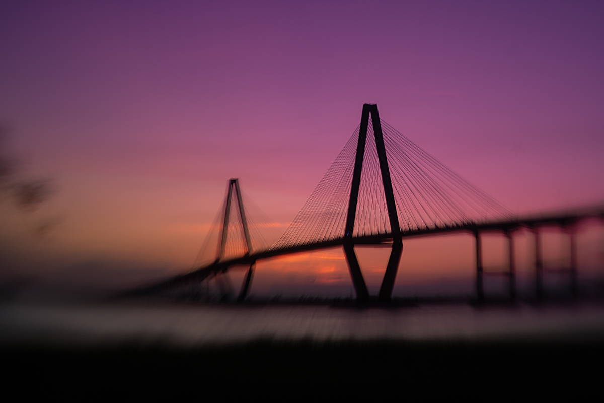 Why You Should OMNI!