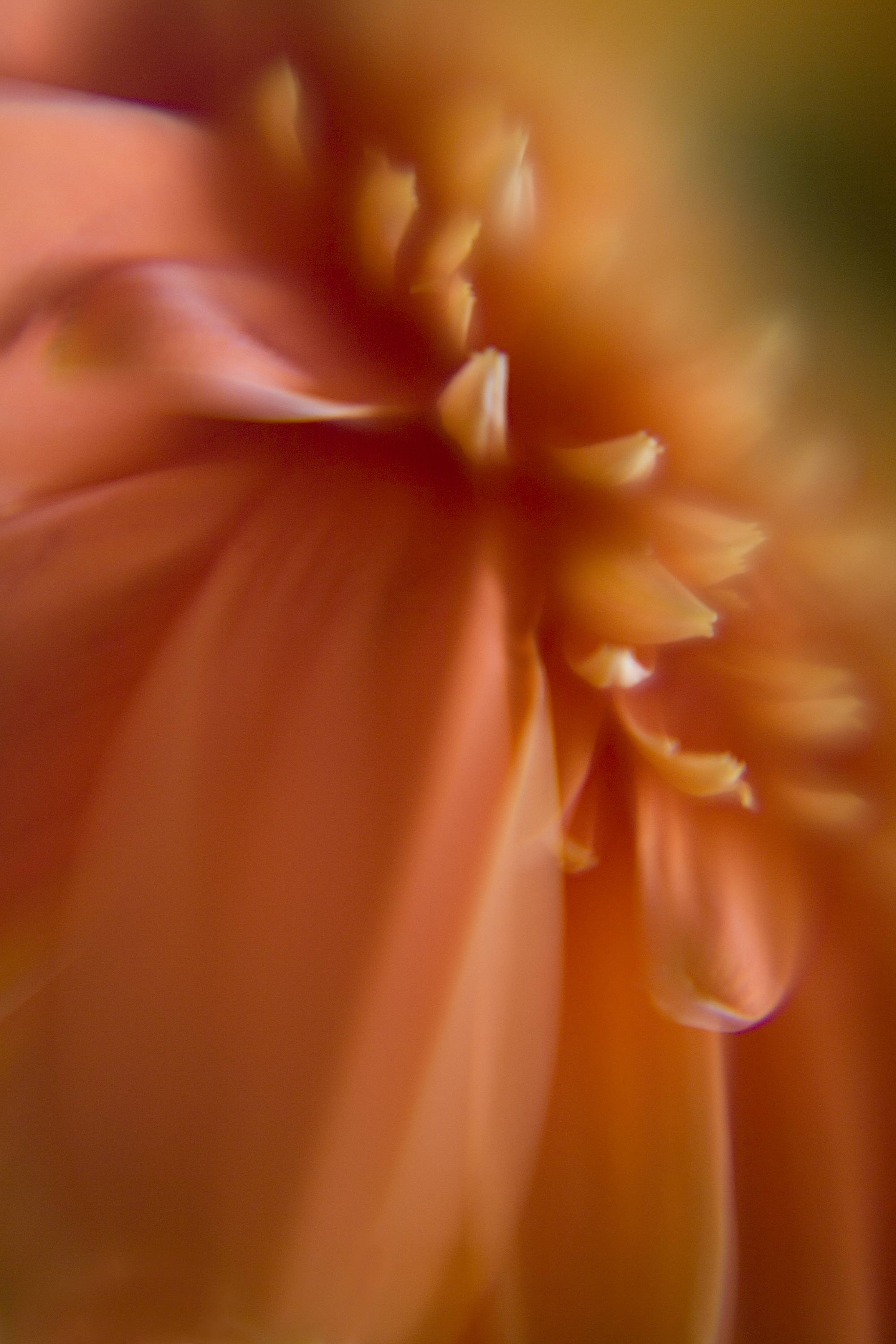 October Orange | Photos of the Week