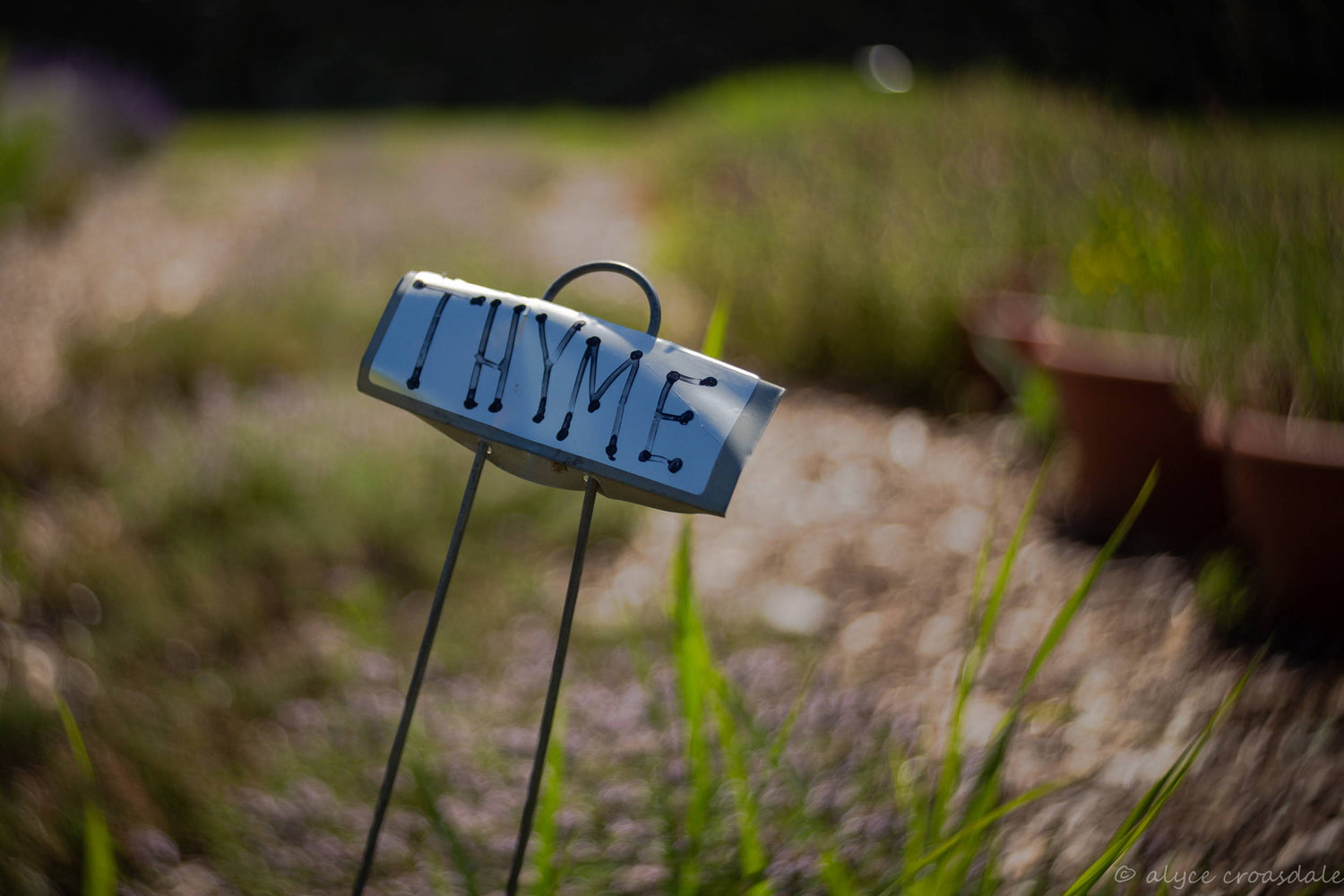 June Lensbaby International Photowalk Winners