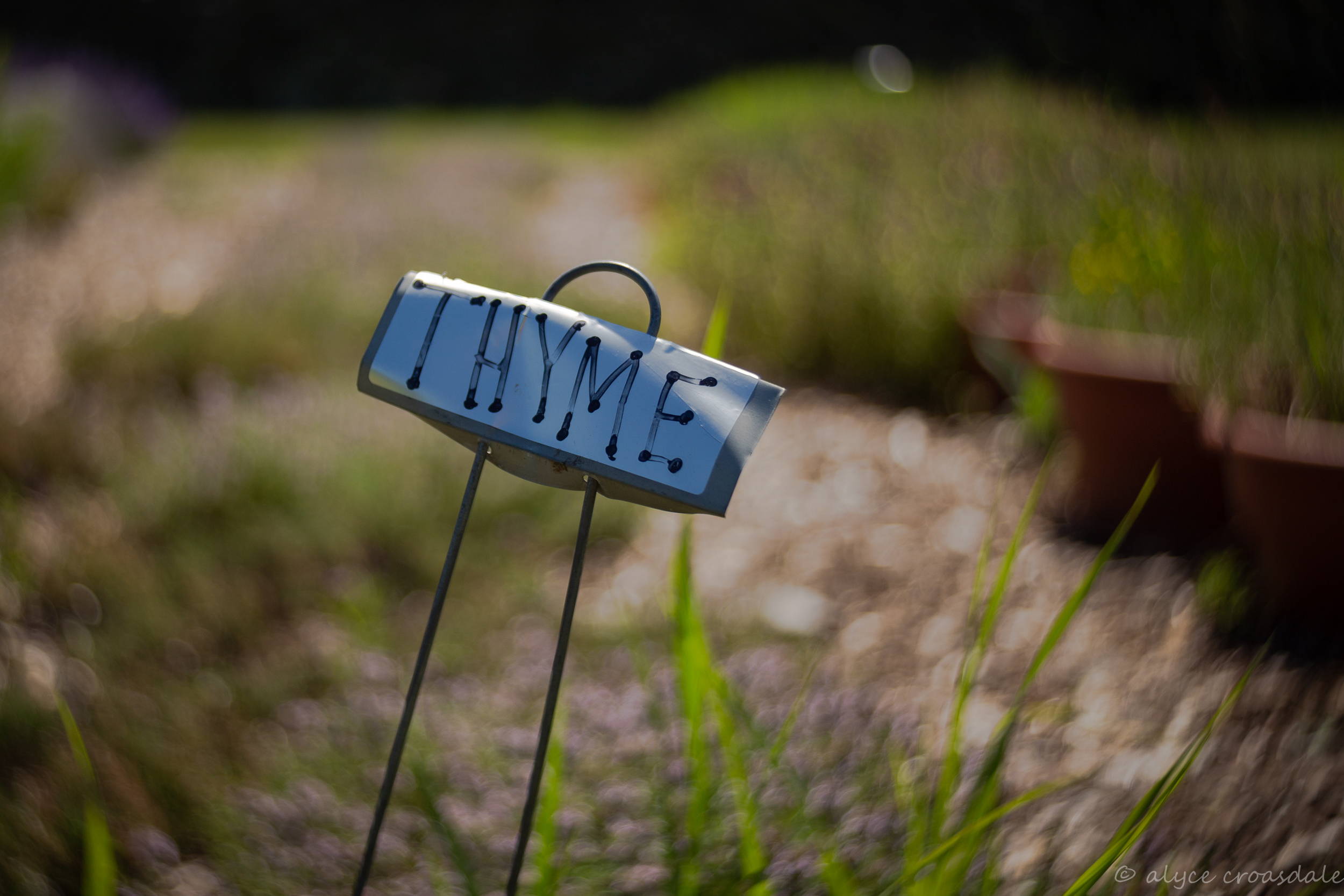 June Lensbaby International Photowalk Winners