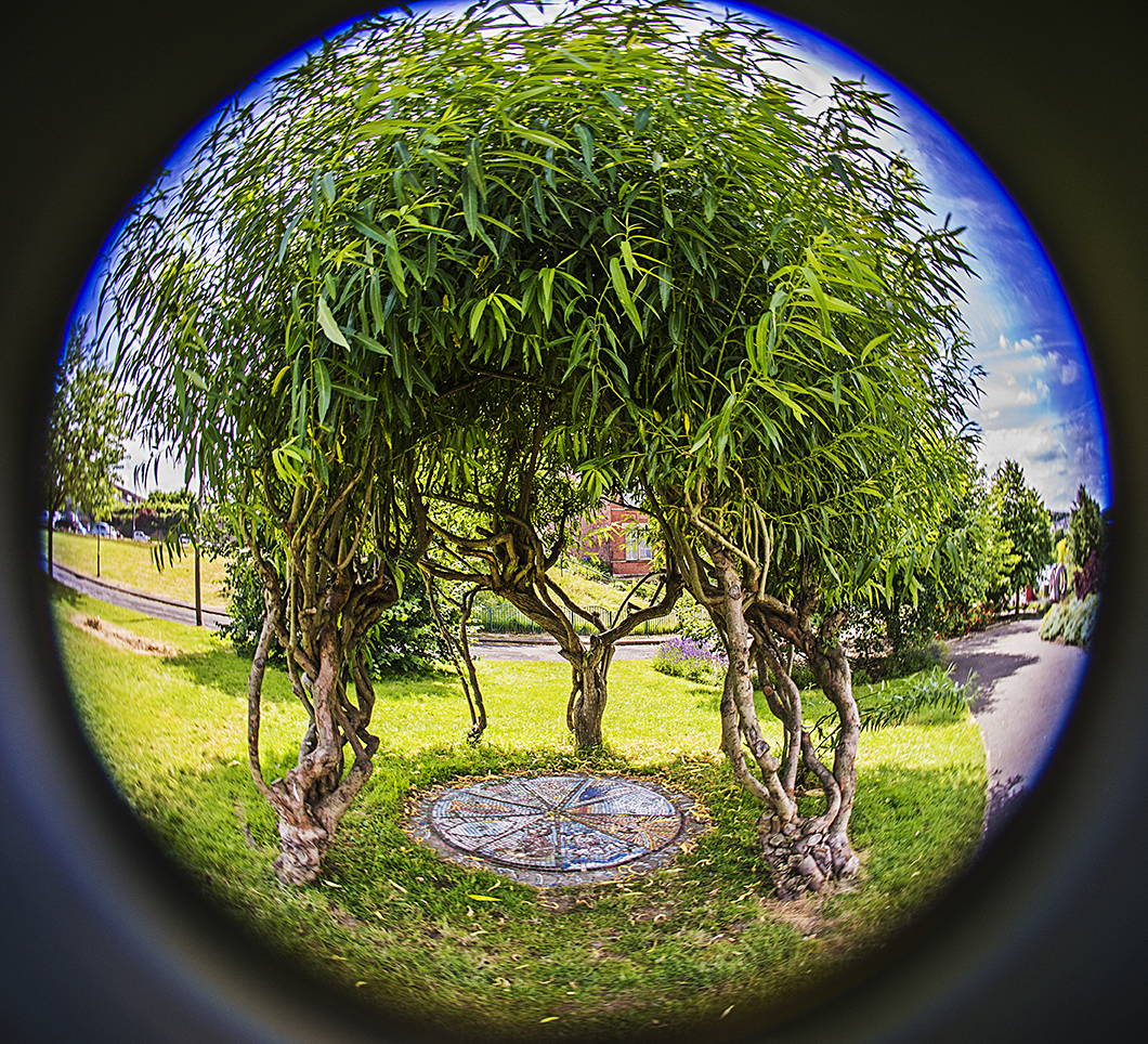 Fisheye Lenses | Lensbaby