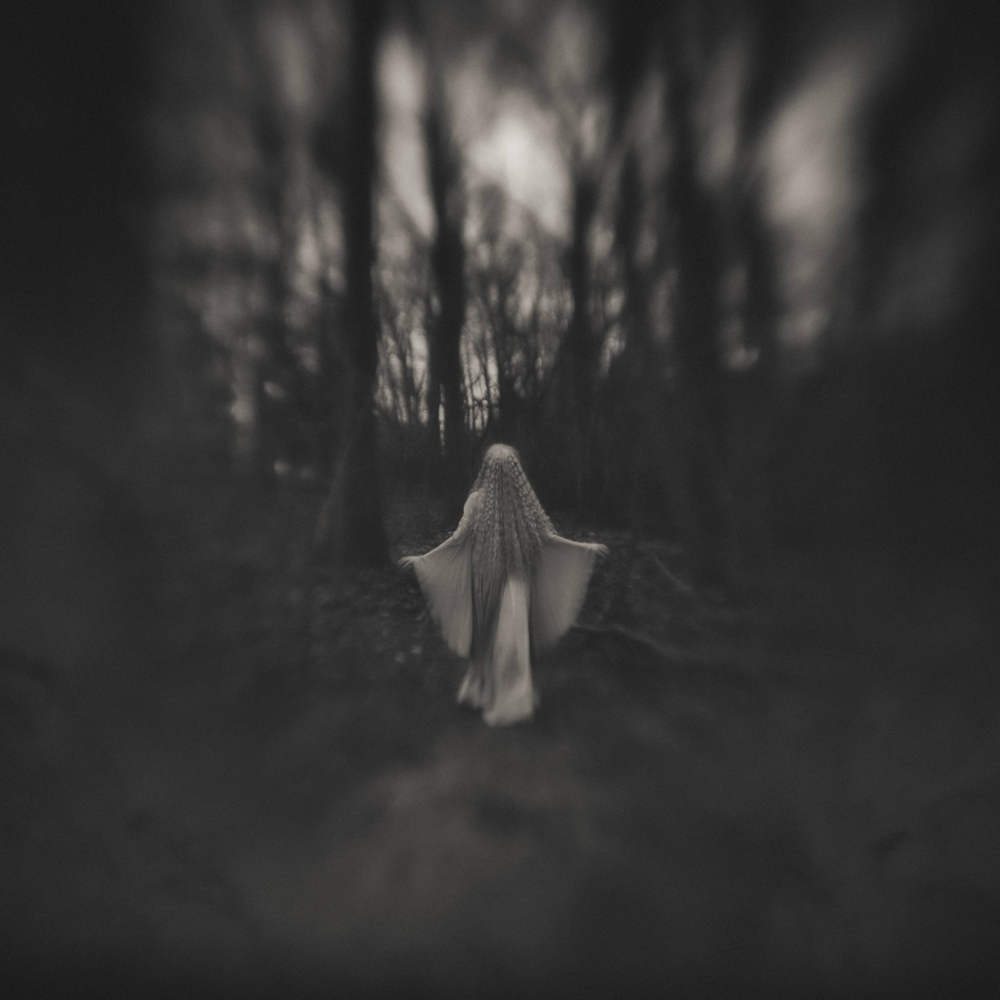 Exploring Creativity With Lensbaby's New Sweet 22