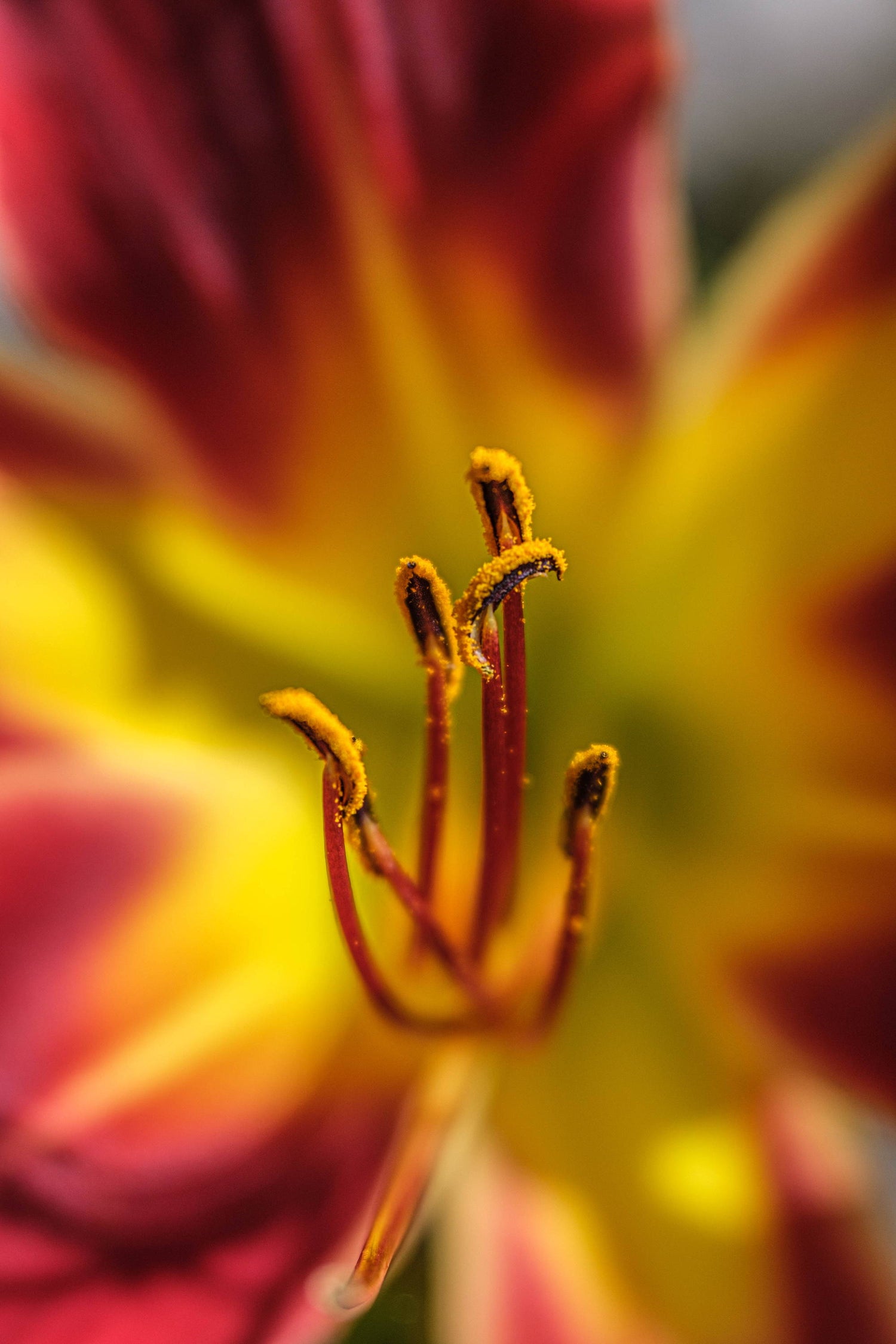 Lensbaby Unplugged Member of the Week | Casey Malone