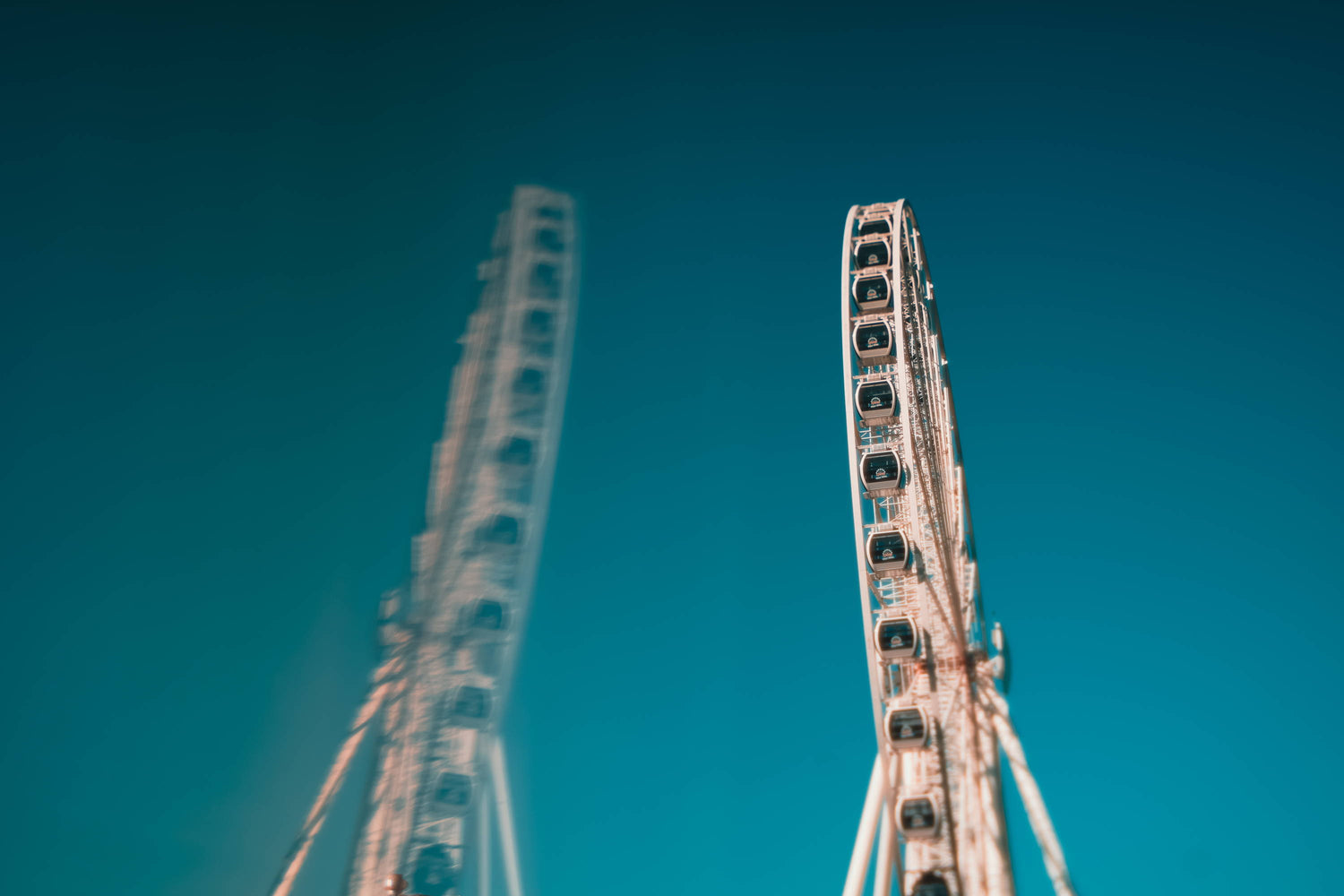 Playful Atmosphere with the New OMNIs