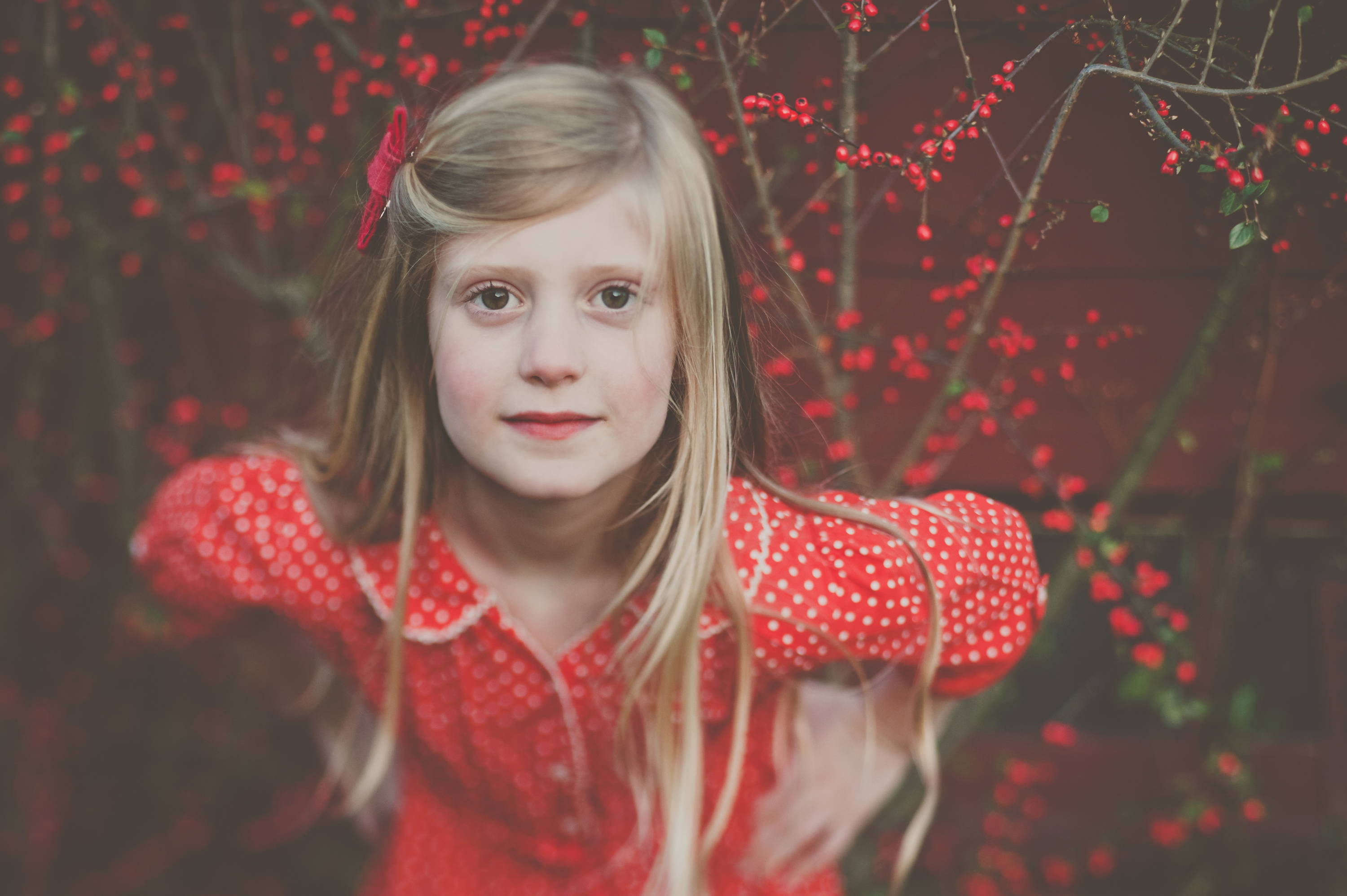 Holiday! | Photos of the Week