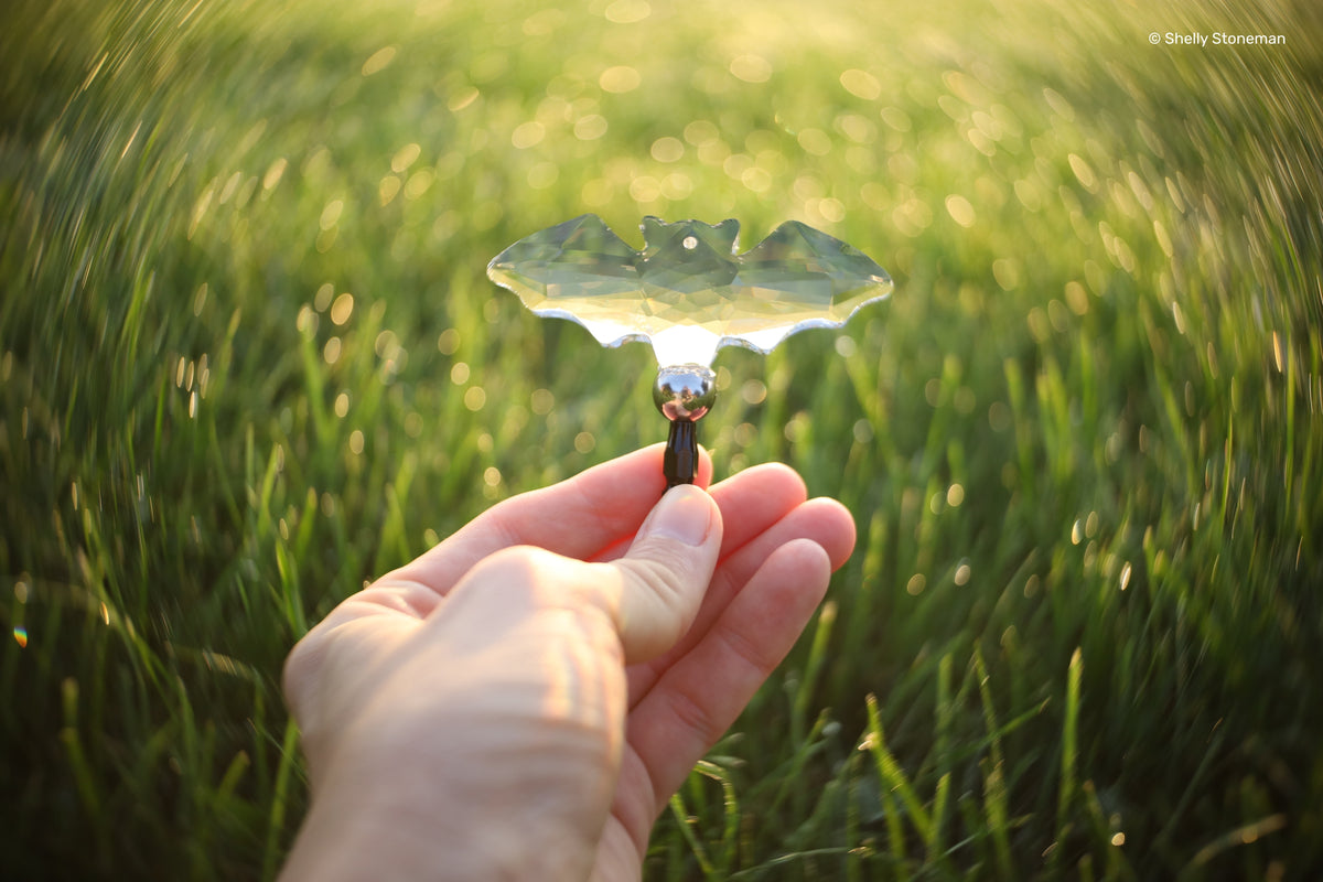 Special Edition OMNI Crystal Bat - Lensbaby Creative Effect Camera Lenses