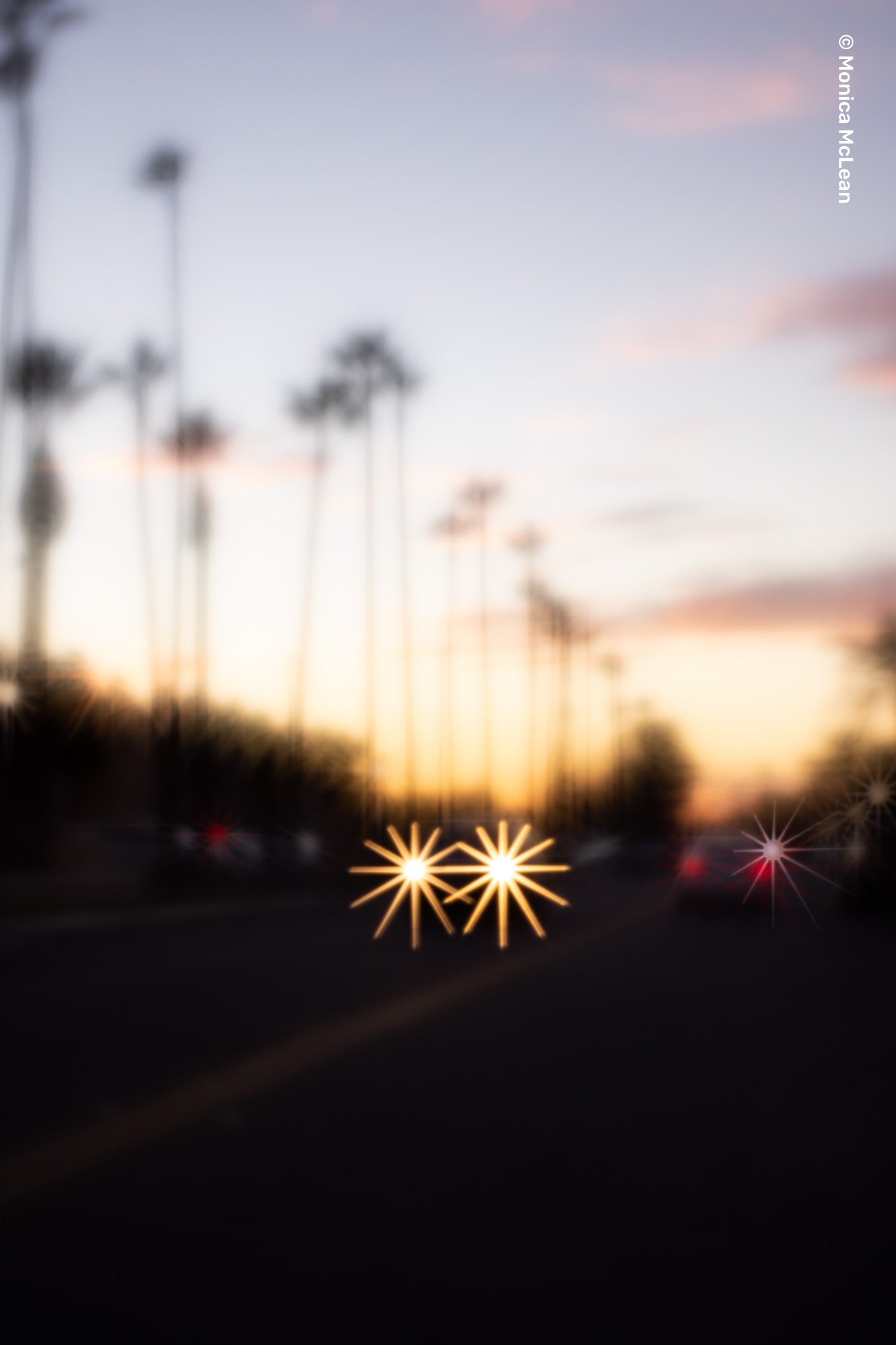 Soft Focus II Optic Only - Lensbaby Creative Effect Camera Lenses