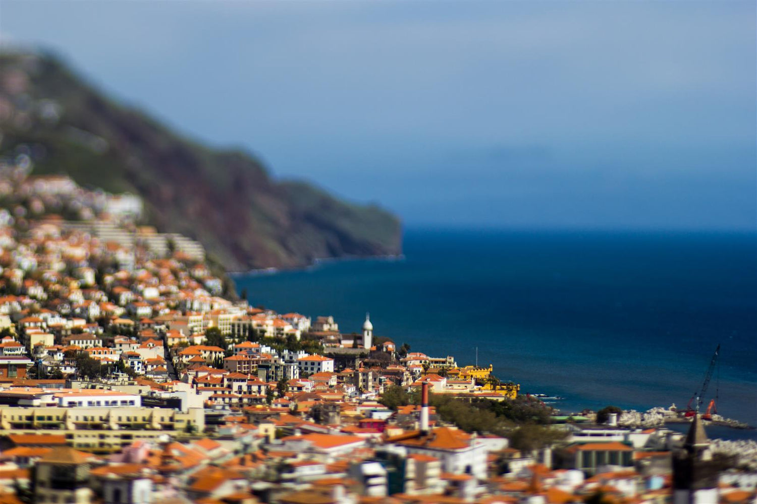 Nuno Caldeira with Composer Pro with Edge 80 Optic Lensbaby Miniature Photography Portugal