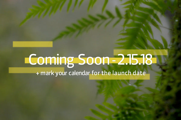 ferns Coming soon 2.15.15 Velvet 56 lens Mark your calendar for the launch date