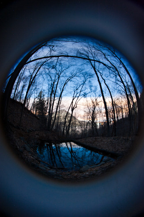 Gabe Biderman Lensbaby Circular Fisheye Gabe Biderman Photography landscape forest