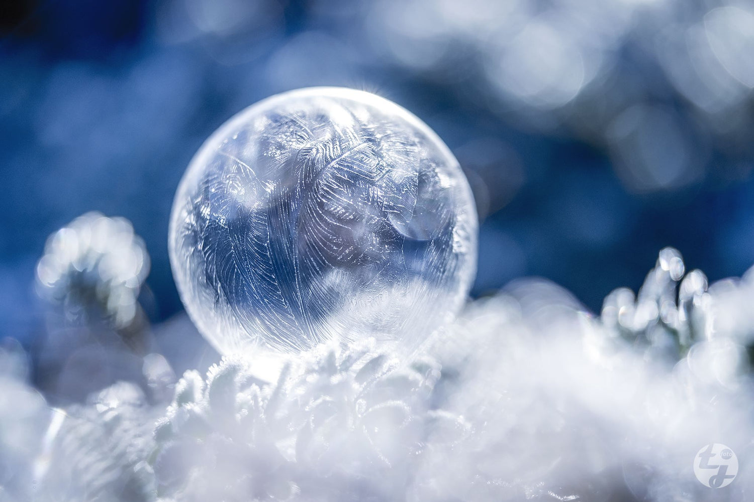 Frozen soap bubble swirly frosted crystals cold winter Lensbaby's featured photos