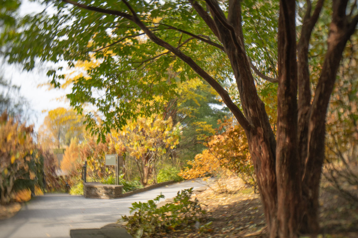 Twist 28: A Journey Unfolding