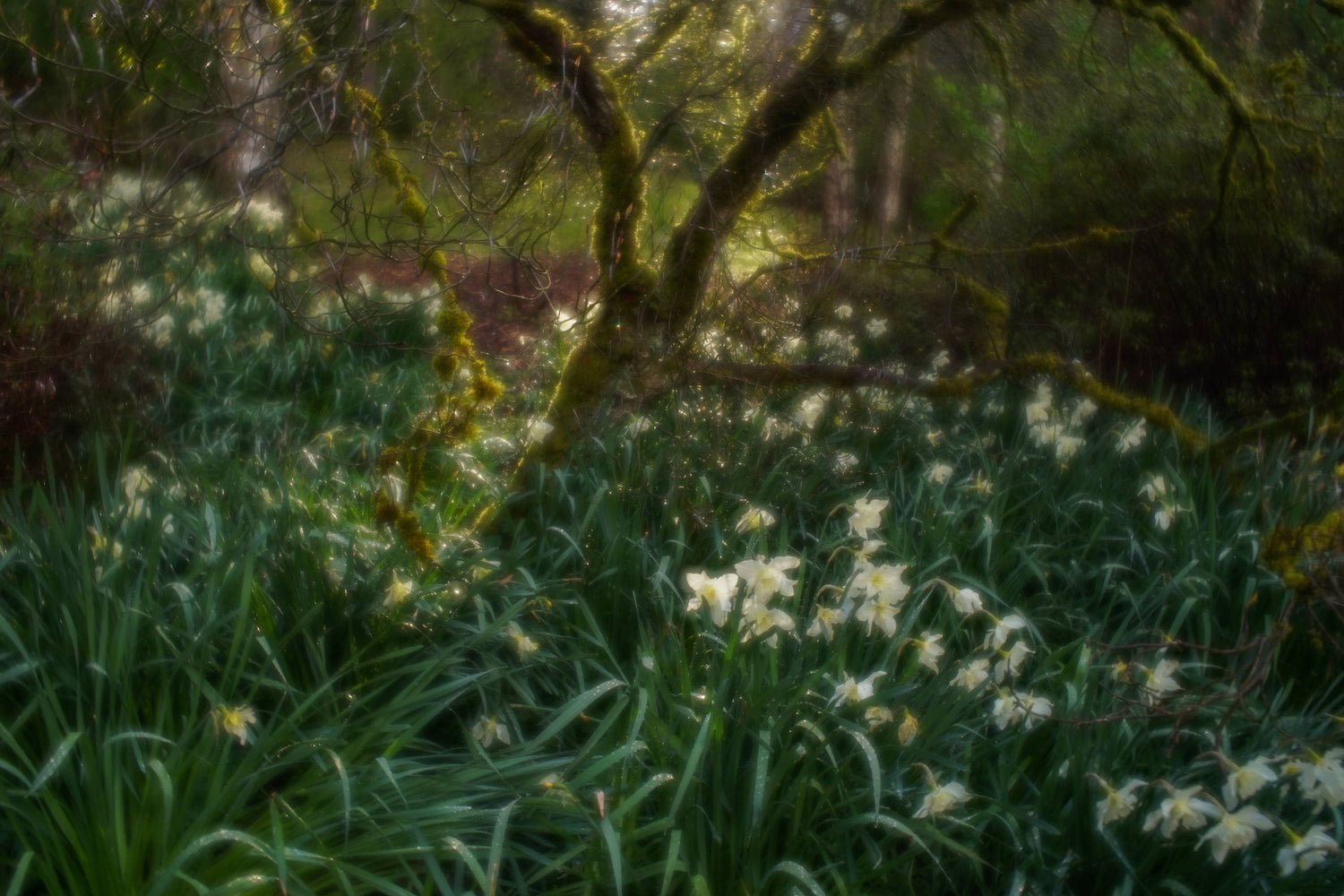 Spring has Sprung | Photos of the Week