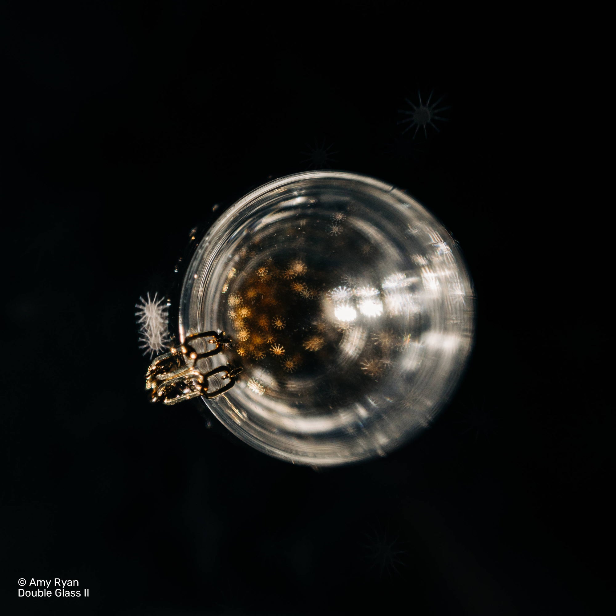 Macro with the Double Glass II | Photos of the Week