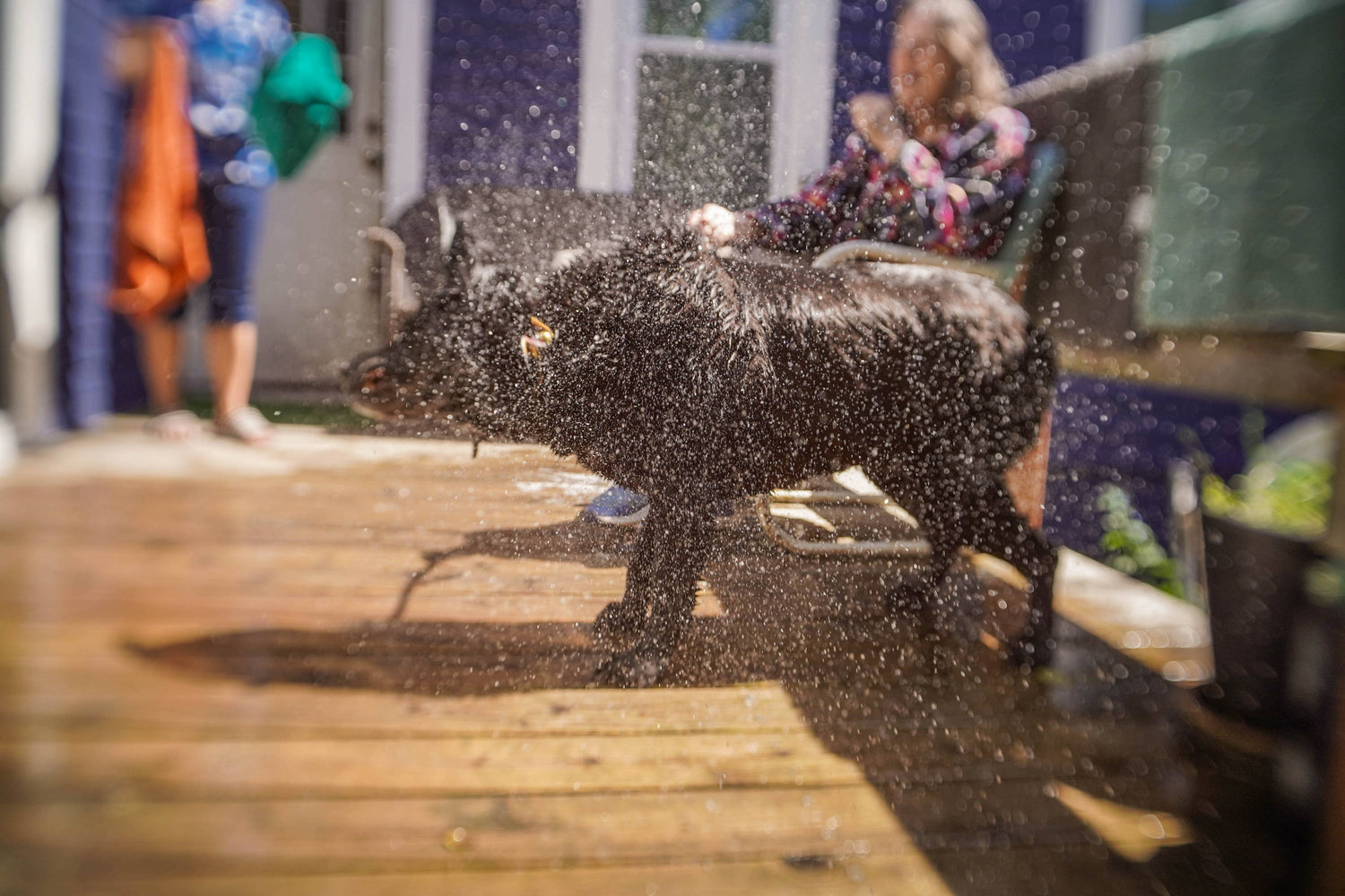 Summer is Here to Stay  | Photos of the Week