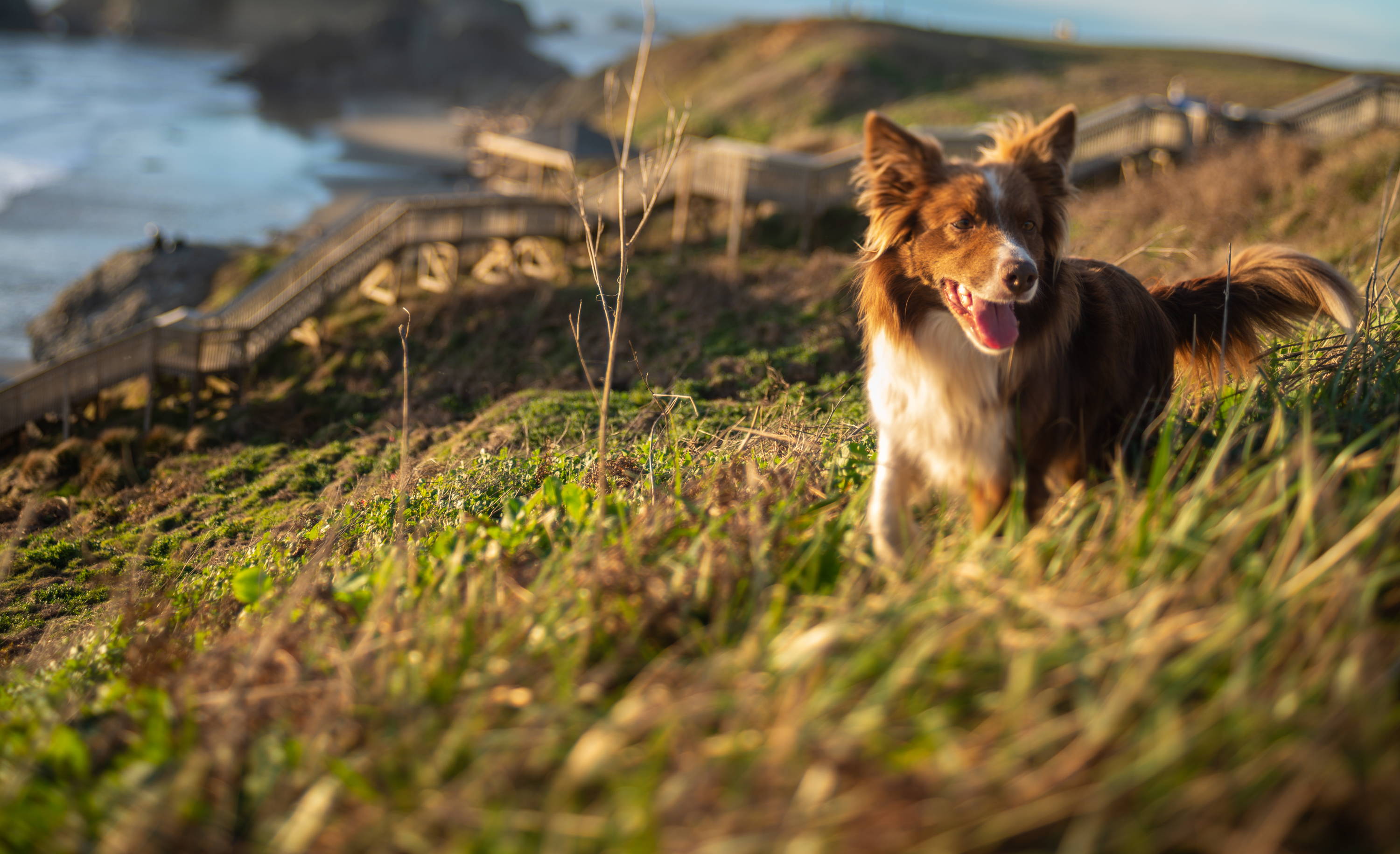 Lensbaby Photos of the Week