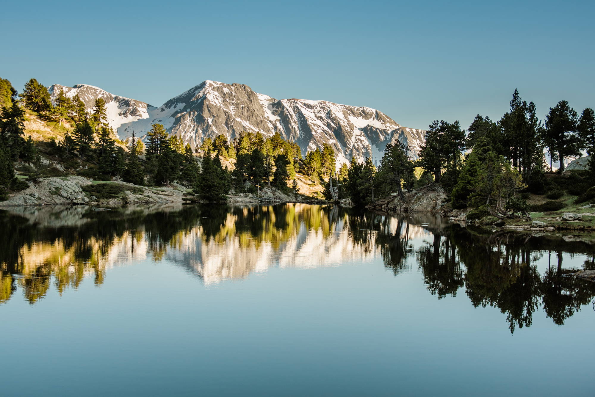 Arbor Day | Photos of the Week