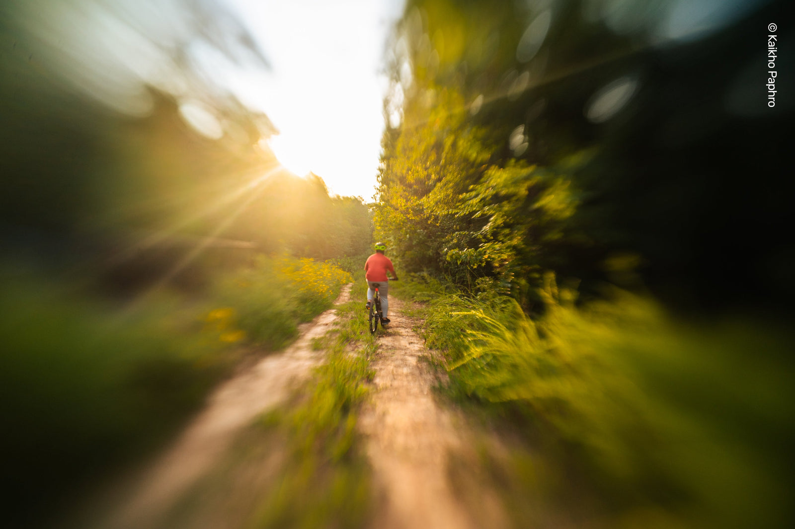 Sweet 22 - Lensbaby Creative Effect Camera Lenses