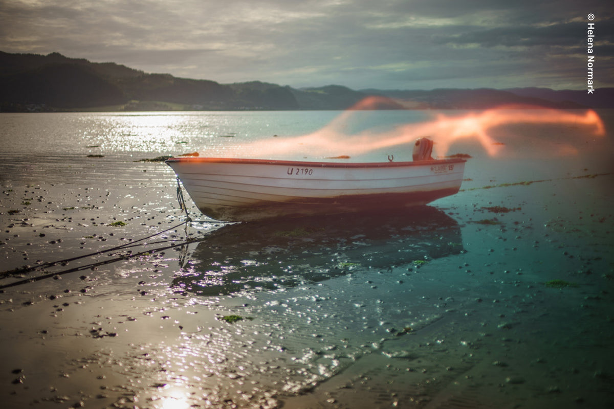 OMNI Color II Collection - Lensbaby Creative Effect Camera Lenses