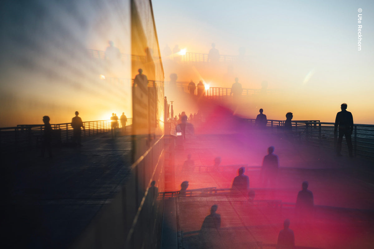 OMNI Color II Collection - Lensbaby Creative Effect Camera Lenses